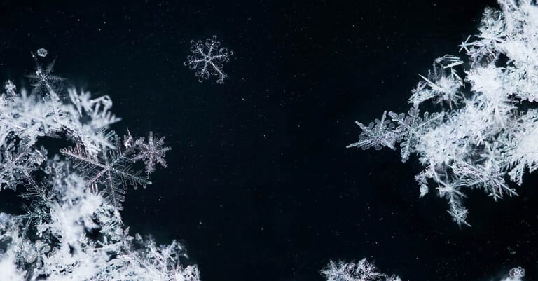 Real Snowflakes shot on a car window.
