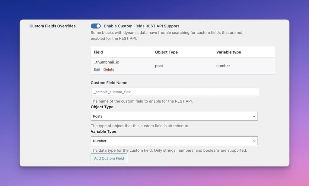 Add Custom Fields to the REST API