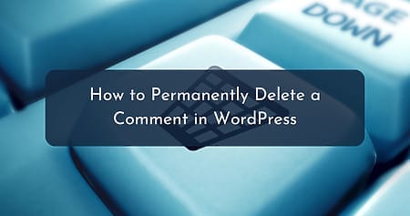 How to Permanently Delete a Comment in WordPress - 1