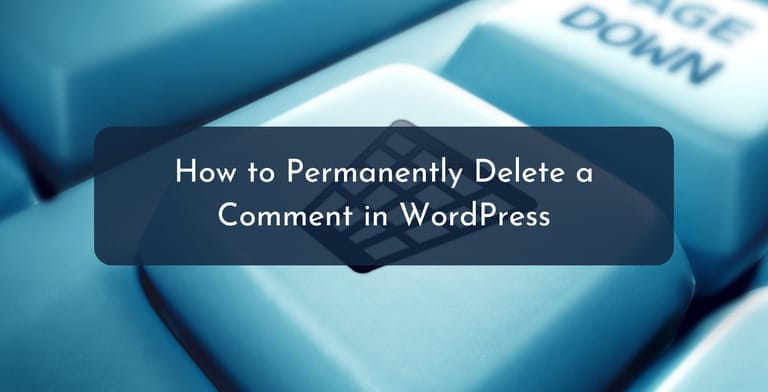 How to Permanently Delete a Comment in WordPress - 1
